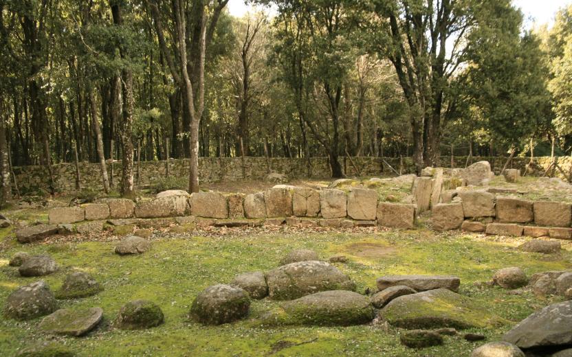 Parco archeologico, bosco Seleni