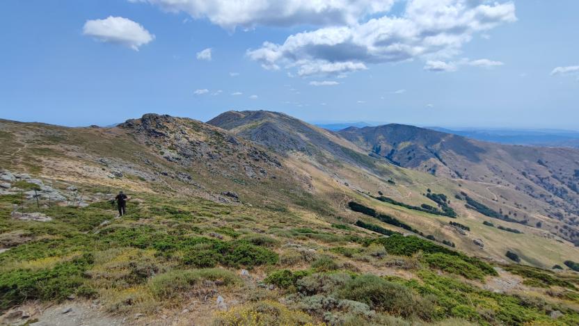 Punta Paulinu vista dal Bruncu Spina lungo 716 A