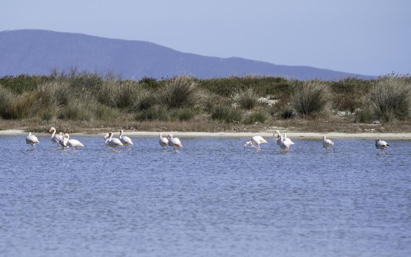 Le saline, sentiero 104, Stintino