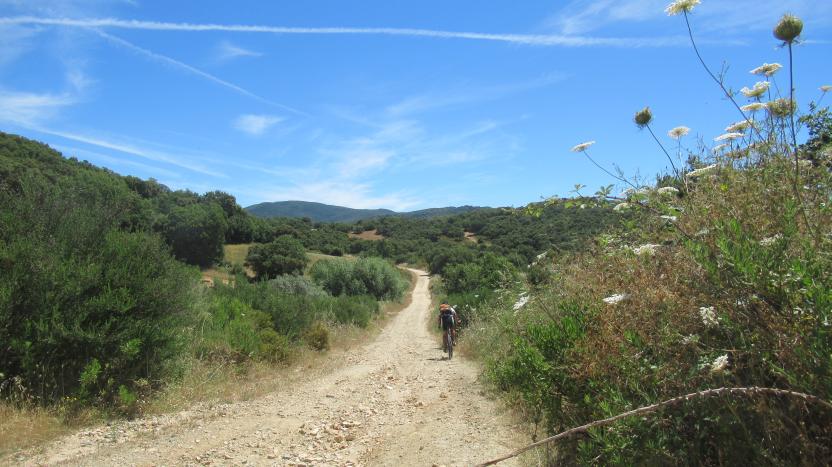 Ortueri. Monte Olisetzo (14)