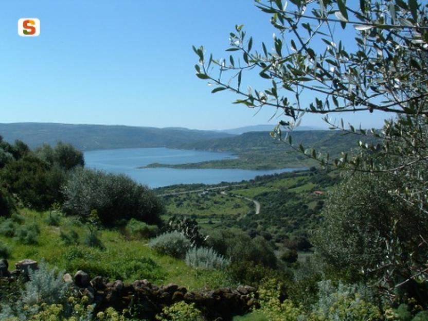 veduta panoramica lago omodeo.jpg