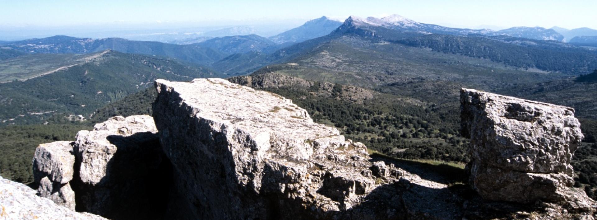 Montes, panorama dal Monte Novo San Giovanni. Da sinistra verso destra: Supramonte di Oliena, su Punta Cabaddaris, Punta Gattinarvu, Punta Lolloine e infine su Punta sa Pruna.