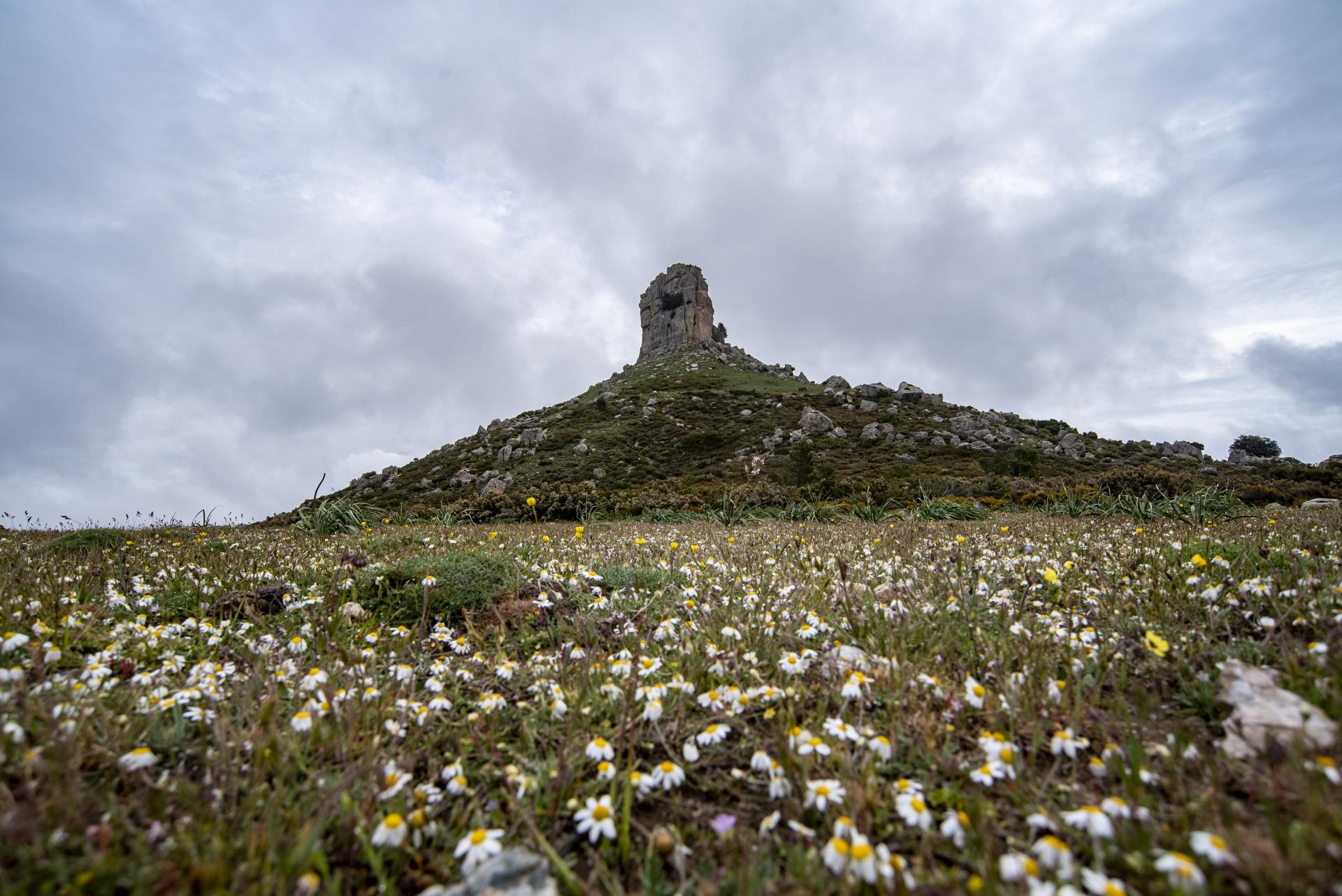 Perda Liana in veste primaverile