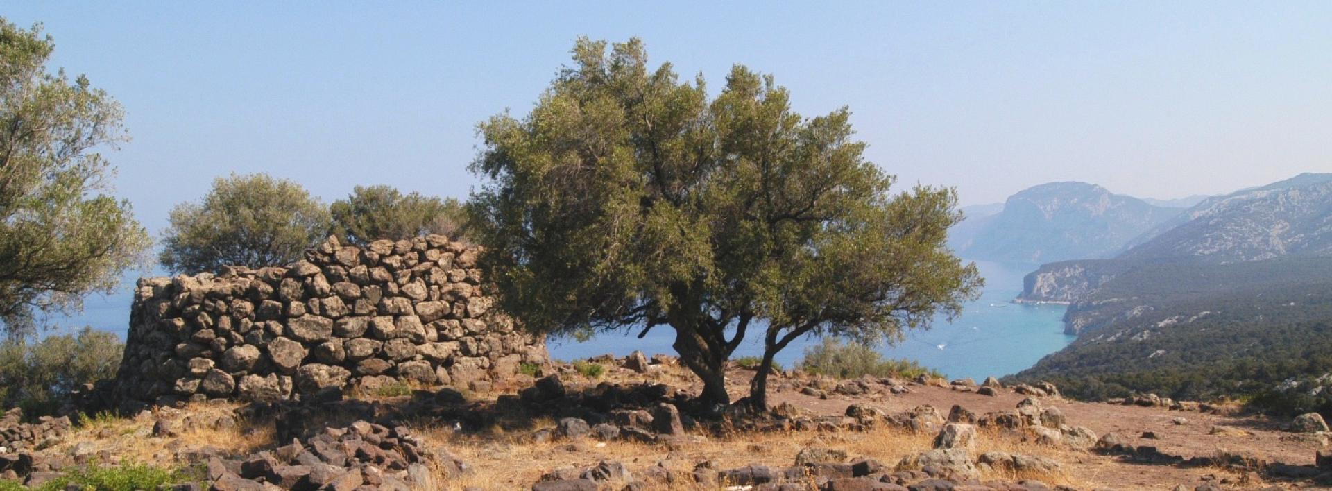 Nuraghe Mannu - Dorgali