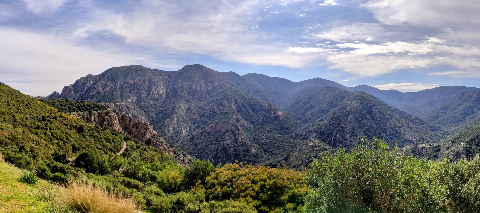 PANORAMA medau Pilisi.