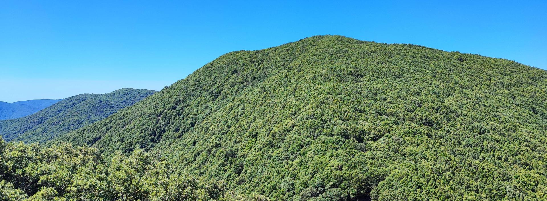 punto panoramico oltre Arcu de Sa Gruxitta, verso cima Caravius