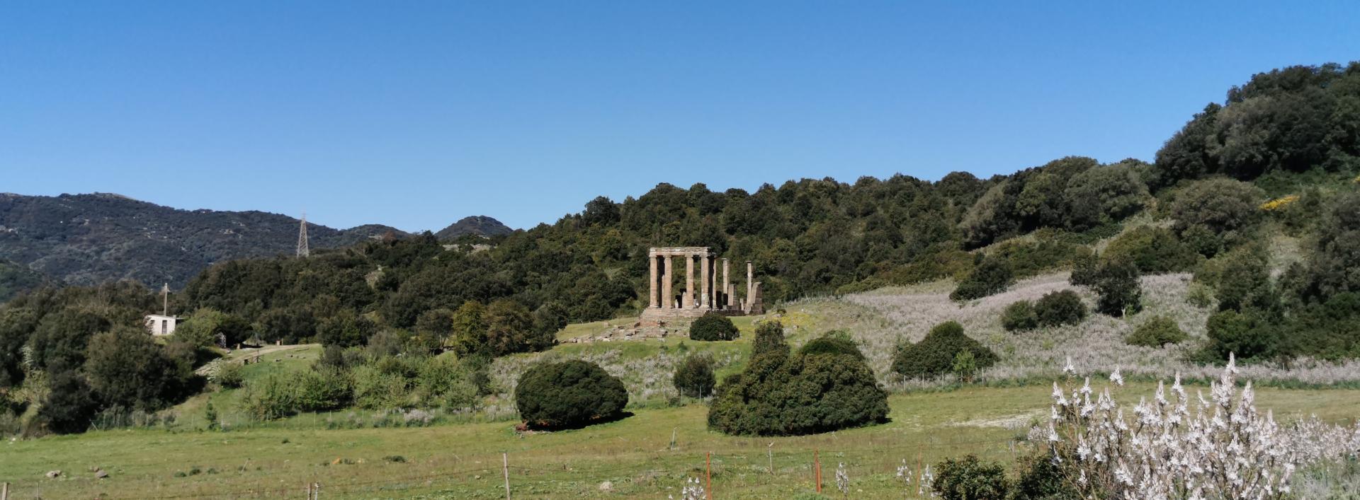 D-340 Tempio di Antas