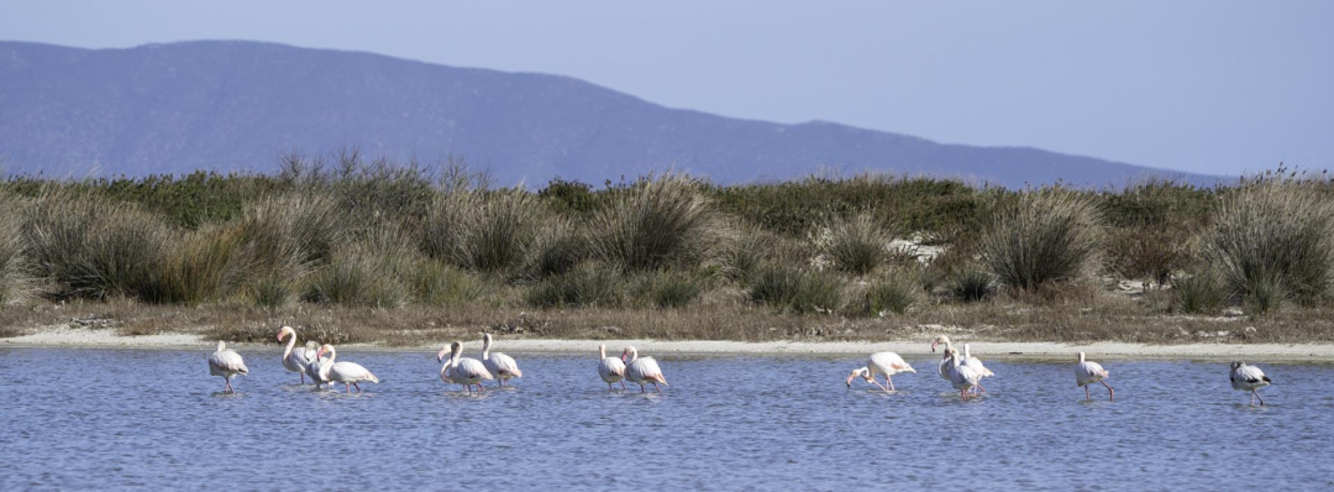 Le saline, sentiero 104, Stintino