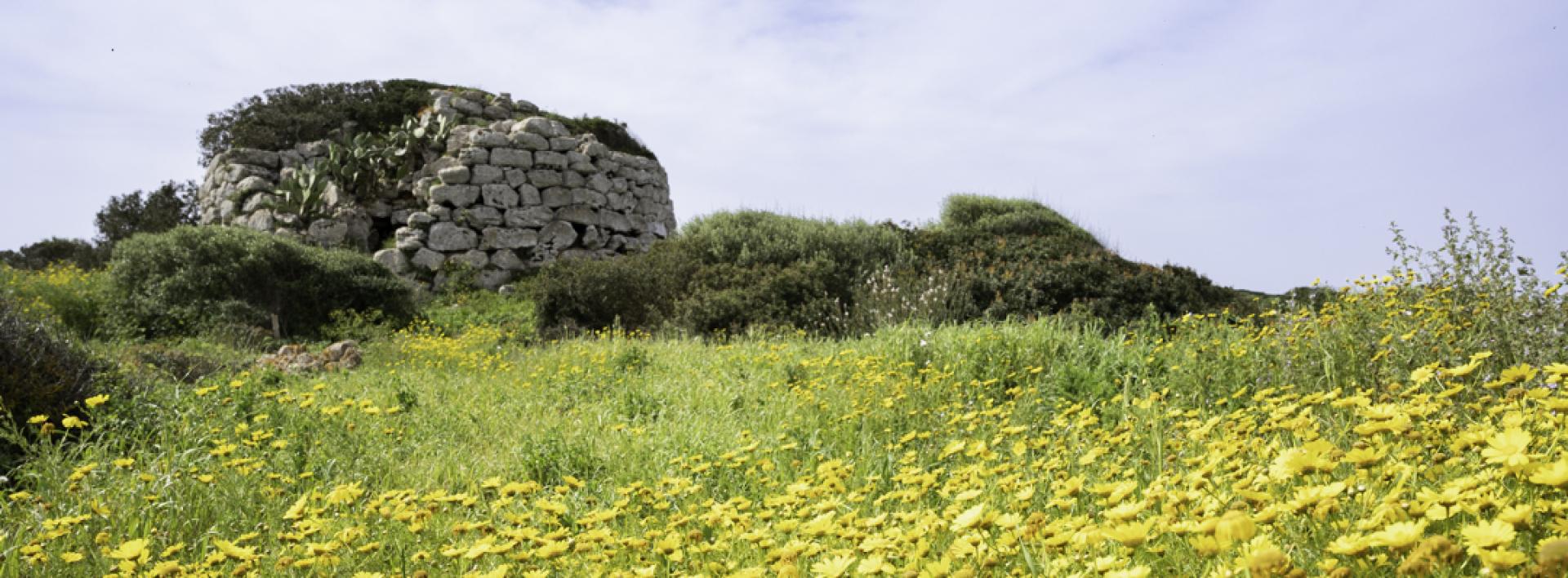 Lungo il sentiero E 101B, Stintino