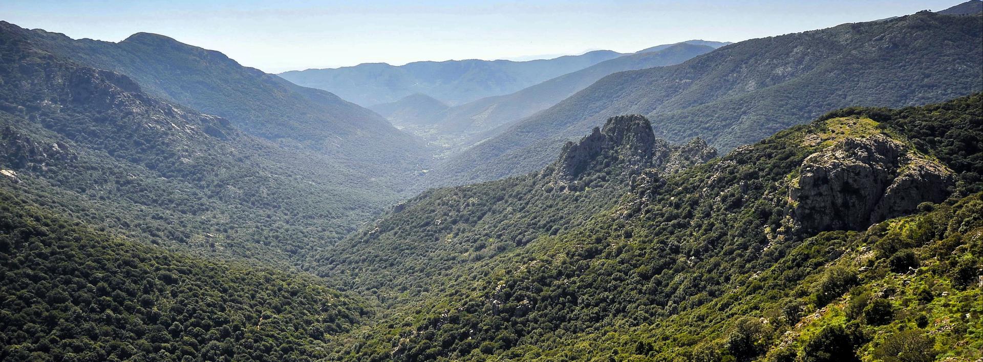 Panorama su Villascema, Villacidro