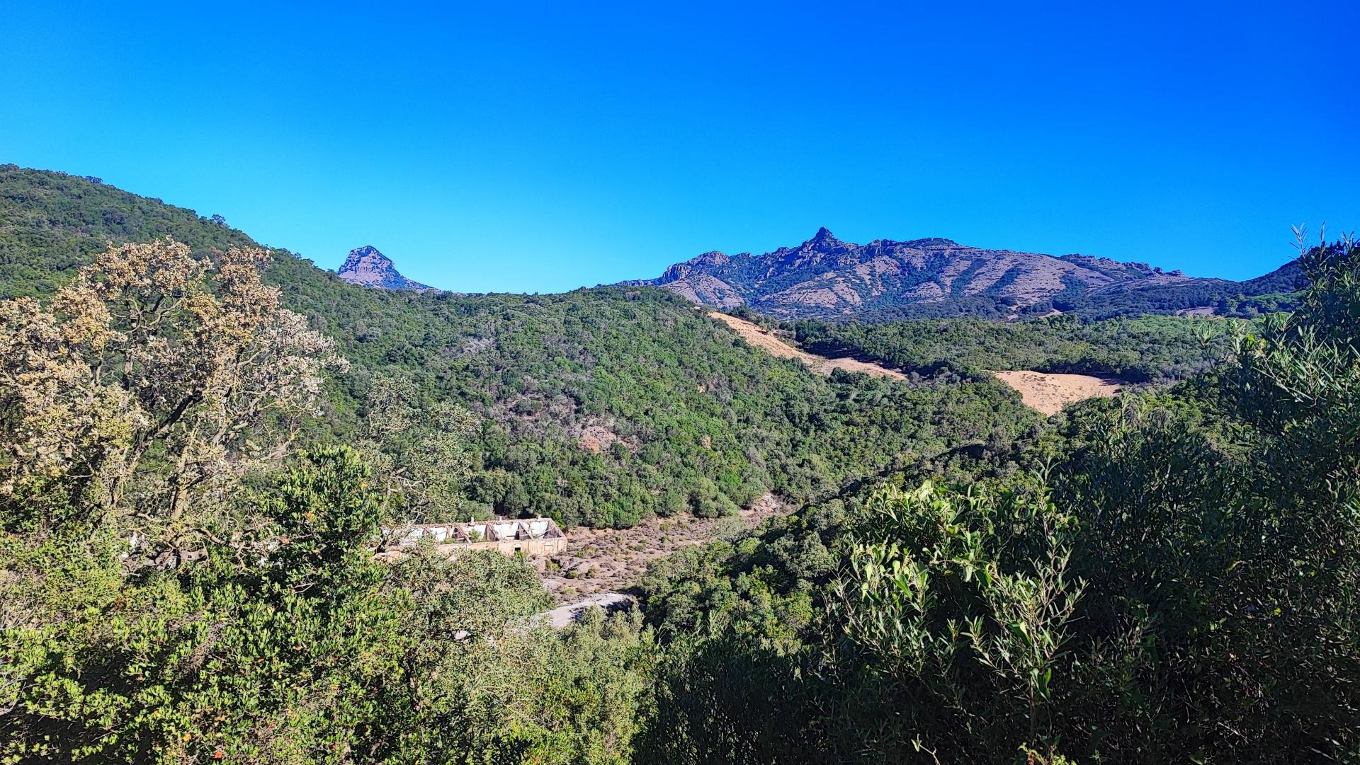 Sentiero delle Cernitrici (Montevecchio): vista su Monte Maiori e Arcuentu dalla sterrata che sovrasta le miniere